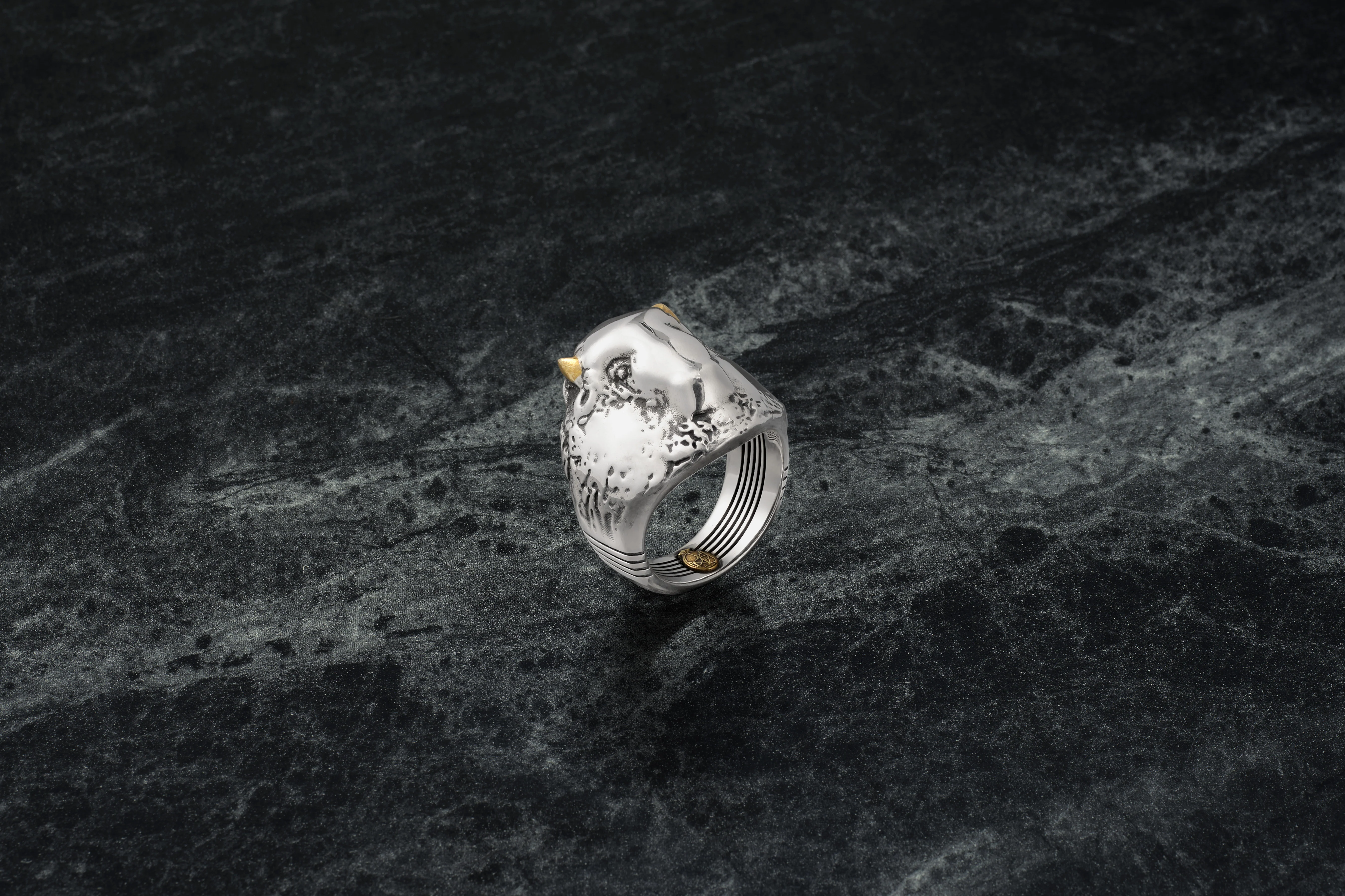 HAYDEN RING